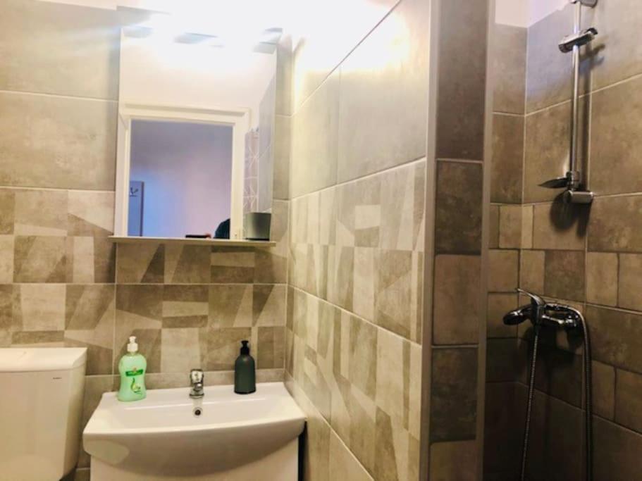 Joy City Stay Colonel Enescu 3 Timișoara Zewnętrze zdjęcie