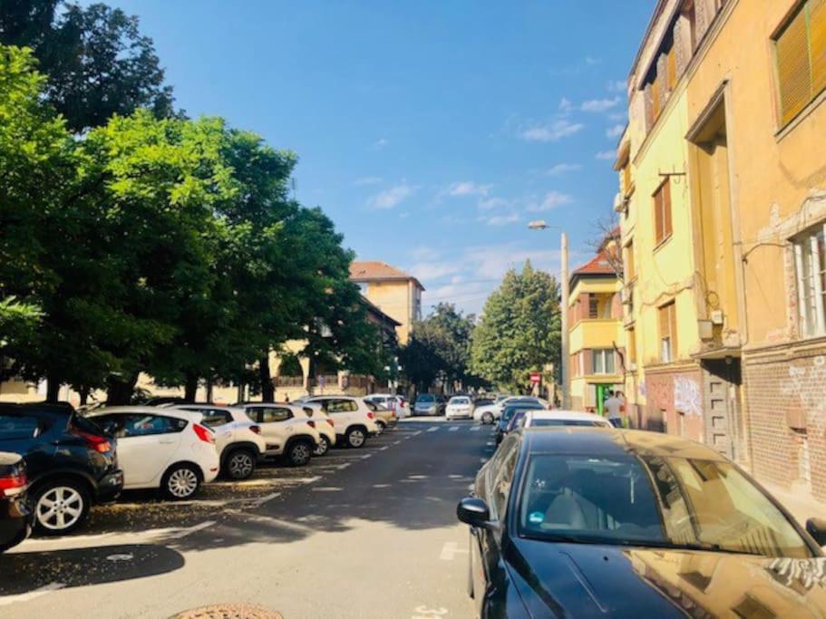 Joy City Stay Colonel Enescu 3 Timișoara Zewnętrze zdjęcie